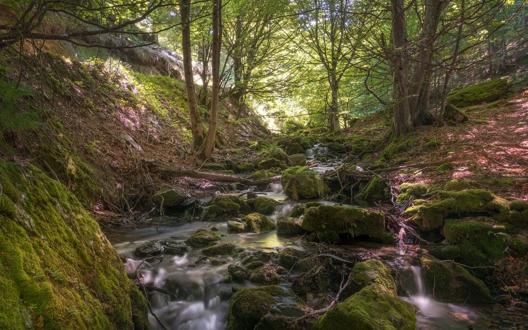 Fotografía de Larga Exposición: Capturando la Magia del Tiempo